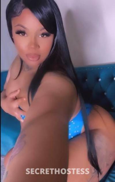 Mariah 22Yrs Old Escort Modesto CA Image - 3