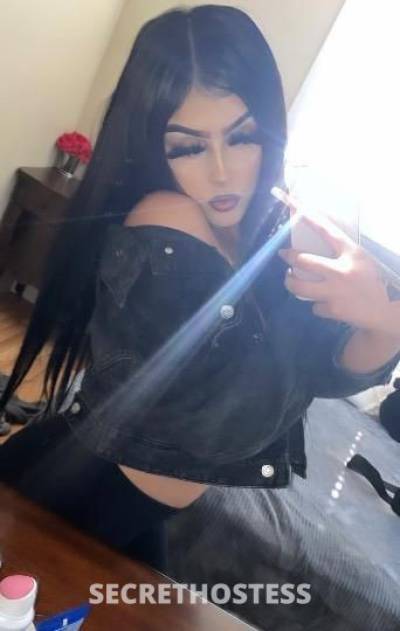 5 star sexy latina wet and ready to play incall and cardate  in Sacramento CA