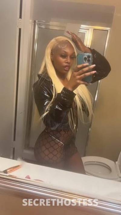 Starr 21Yrs Old Escort Redding CA Image - 2