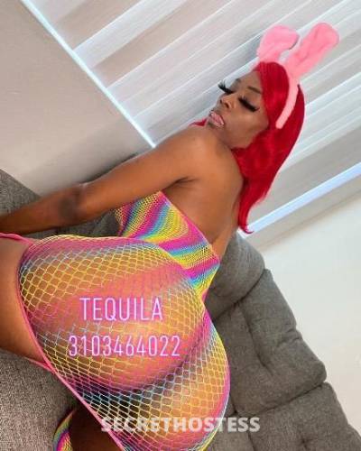 Tequila 23Yrs Old Escort Los Angeles CA Image - 0