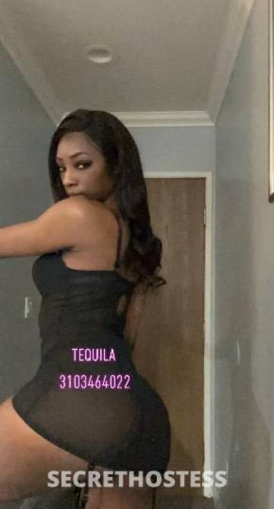 Tequila 23Yrs Old Escort Los Angeles CA Image - 1