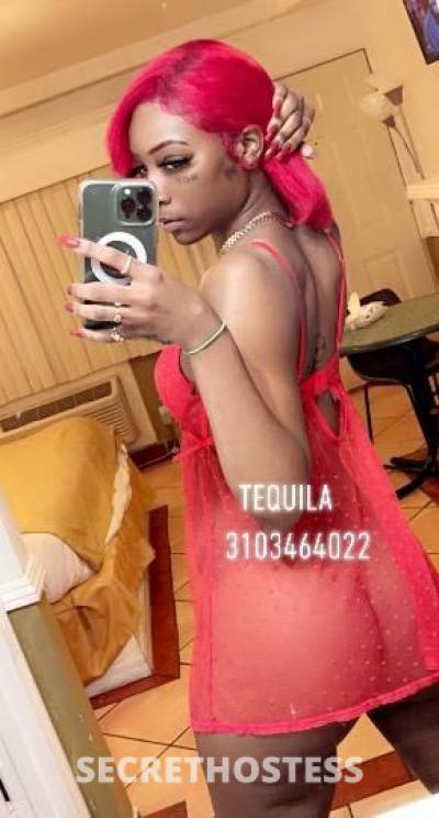 Tequila 23Yrs Old Escort Los Angeles CA Image - 2