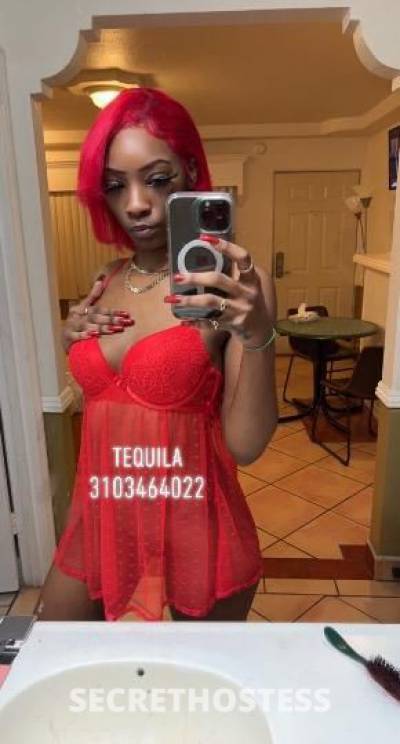 Tequila 23Yrs Old Escort Los Angeles CA Image - 3