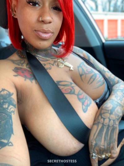 Bethany 25Yrs Old Escort Size 8 Raleigh / Durham NC Image - 0