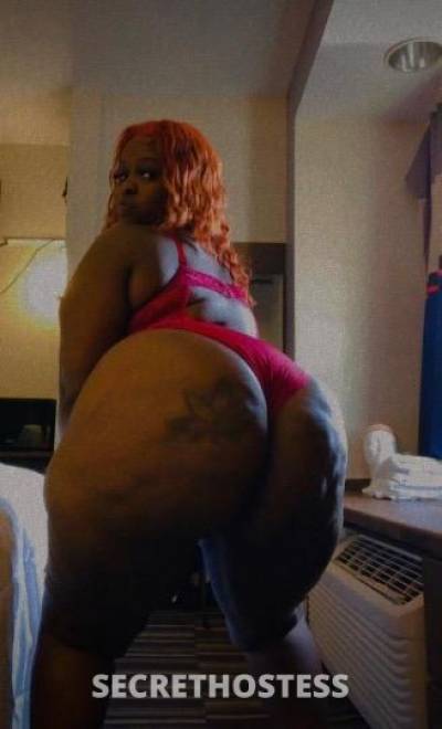 Bigbooty 30Yrs Old Escort Chicago IL Image - 1