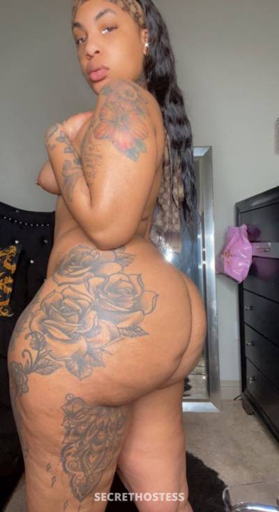 Venus Kemp 24Yrs Old Escort Size 8 170CM Tall Spokane / Coeur D'Alene WA Image - 0