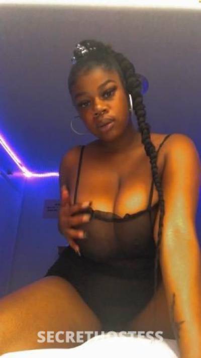 kashmere 20Yrs Old Escort Honolulu HI Image - 0