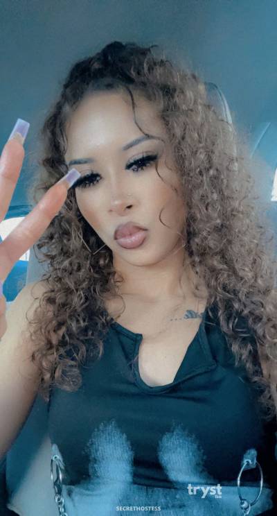 20Yrs Old Escort Size 6 153CM Tall Houston TX Image - 3