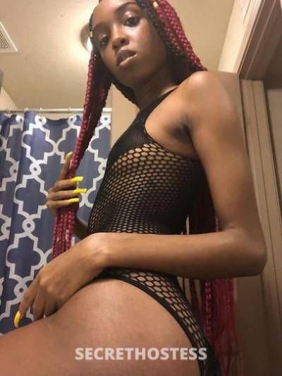21Yrs Old Escort Auburn AL Image - 2