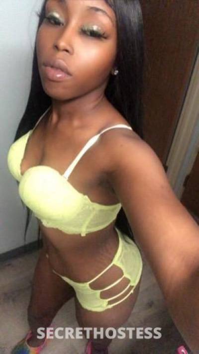 24Yrs Old Escort Corpus Christi TX Image - 0