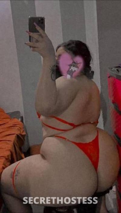 Beba 28Yrs Old Escort Houston TX Image - 3