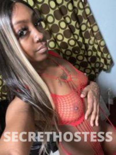 Lisa 27Yrs Old Escort 172CM Tall Vermont VT Image - 1