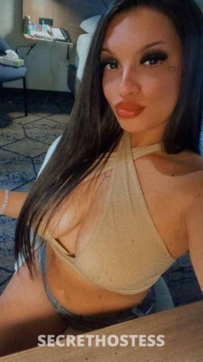 Sophie 23Yrs Old Escort Fredericksburg VA Image - 4