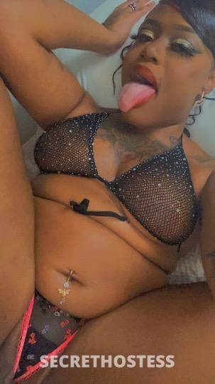Pandora 23Yrs Old Escort Carlsbad NM Image - 0
