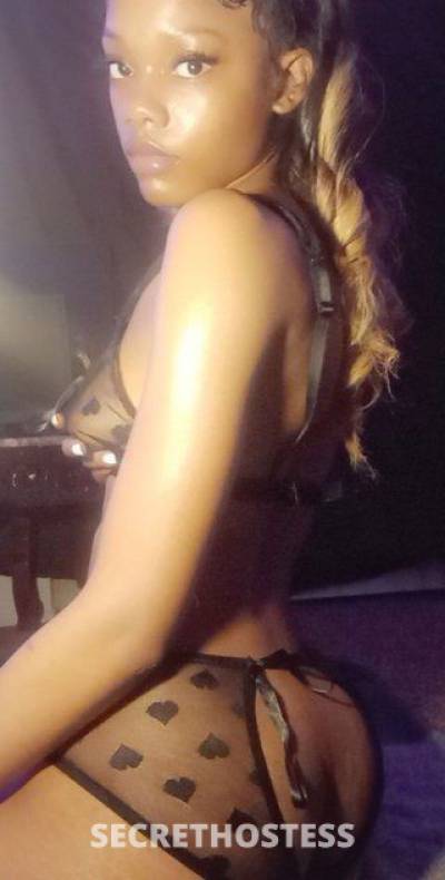 23Yrs Old Escort 162CM Tall Dallas TX Image - 1