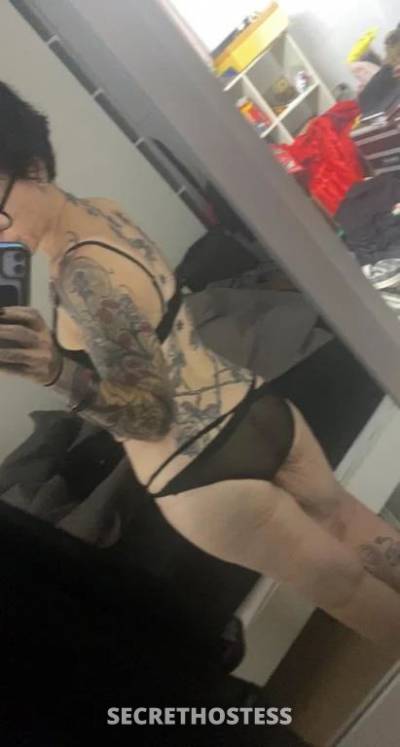 28Yrs Old Escort Size 10 Cairns Image - 5