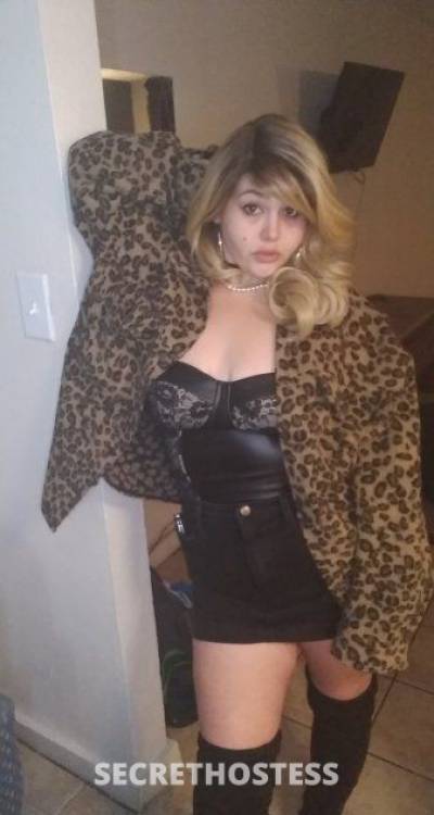 28 Year Old Escort Austin TX Blonde - Image 5