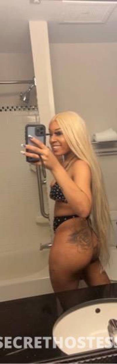 BENJIS 26Yrs Old Escort Westchester NY Image - 1