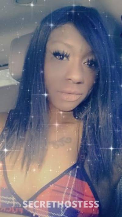 Chocolate🍫Nubii 29Yrs Old Escort Reno NV Image - 0