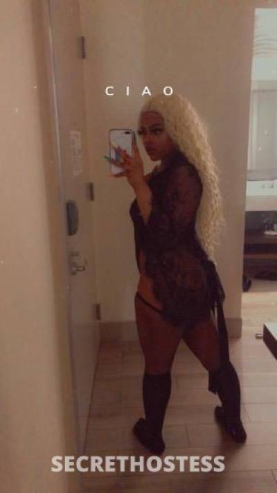 Dream🫦 24Yrs Old Escort Bronx NY Image - 0