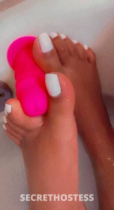 LaDonna 25Yrs Old Escort Carlsbad NM Image - 1