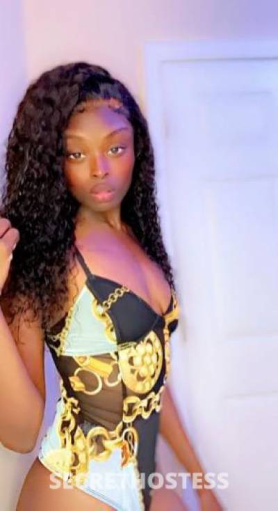 SASHA 24Yrs Old Escort Fayetteville NC Image - 6