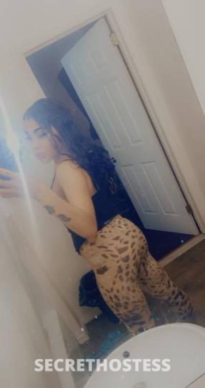 Stacysnom 19Yrs Old Escort Hudson Valley NY Image - 1