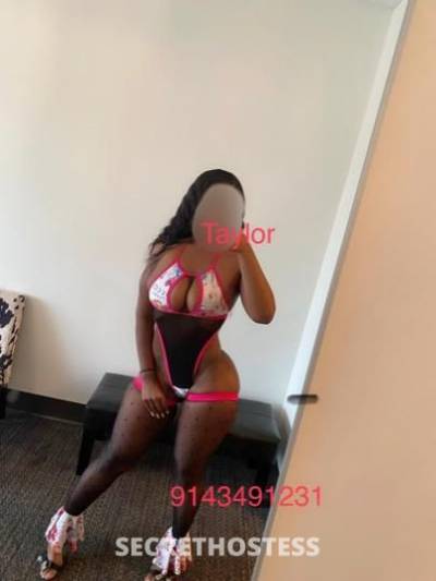 TAYLOR 27Yrs Old Escort Westchester NY Image - 5