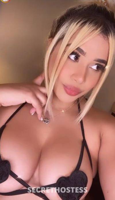 24Yrs Old Escort 167CM Tall Allentown PA Image - 3