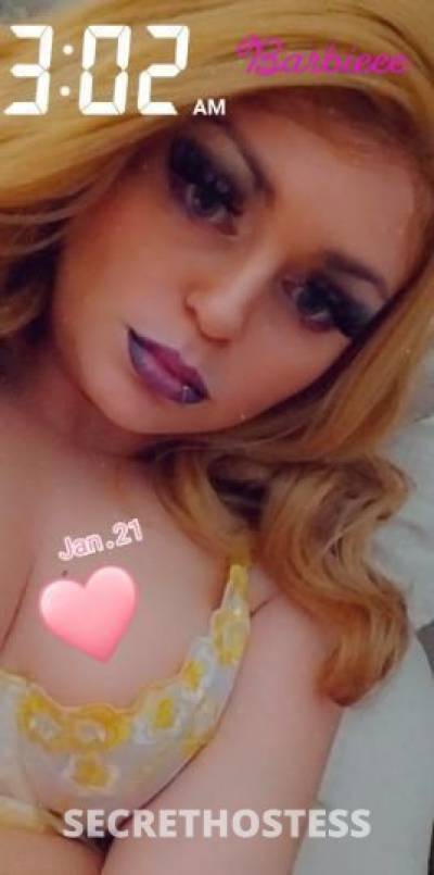 Barbieee 31Yrs Old Escort Greenville SC Image - 2