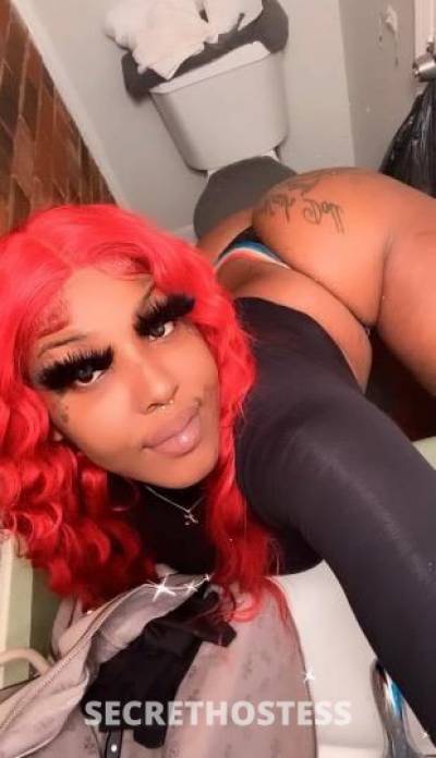 Kash 22Yrs Old Escort Memphis TN Image - 2