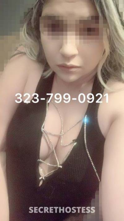 25Yrs Old Escort 170CM Tall Hudson Valley NY Image - 5