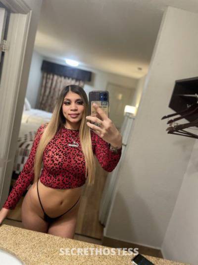 23 Year Old Hispanic Escort San Antonio TX - Image 2