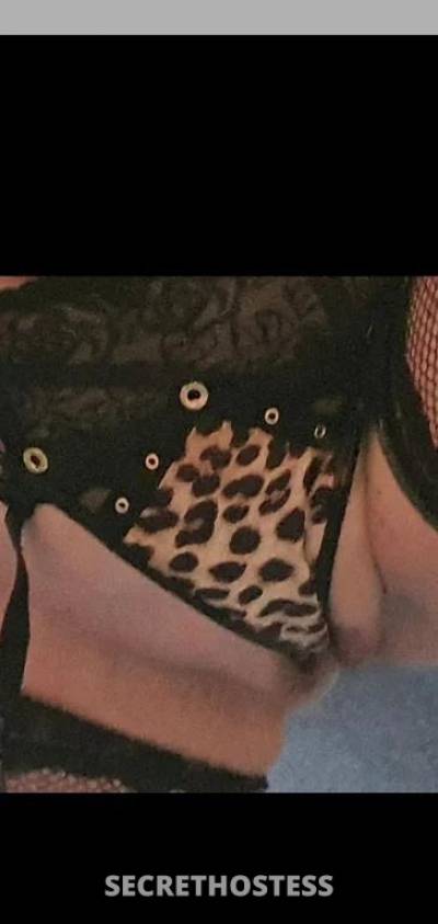 35Yrs Old Escort Size 10 Brisbane Image - 1