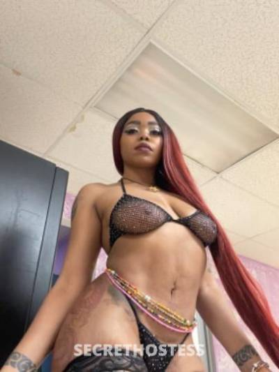 31Yrs Old Escort Philadelphia PA Image - 1