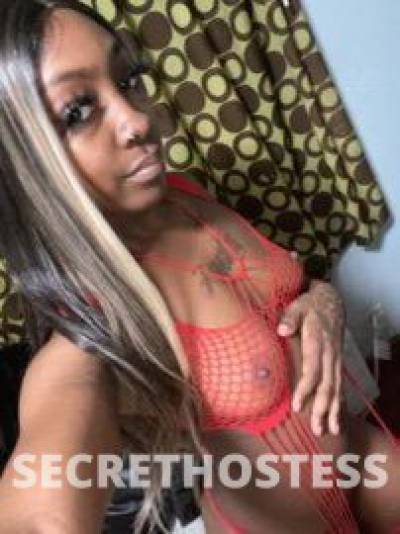 Lisa 27Yrs Old Escort 172CM Tall Albany NY Image - 1