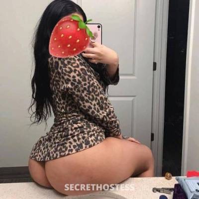 Sofia Latina 24Yrs Old Escort San Antonio TX Image - 0