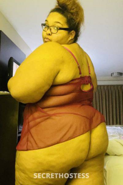 24Yrs Old Escort 198CM Tall Annapolis MD Image - 3