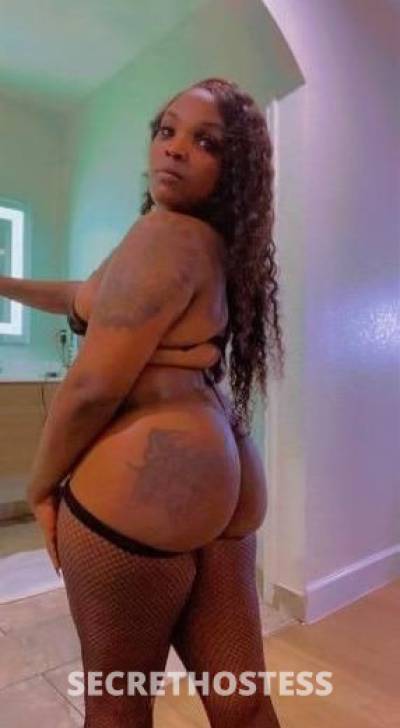28 year old Escort in Florence 💦EBONY GIRL LOOKING FOR MEET AND FUCK💯Incall or 