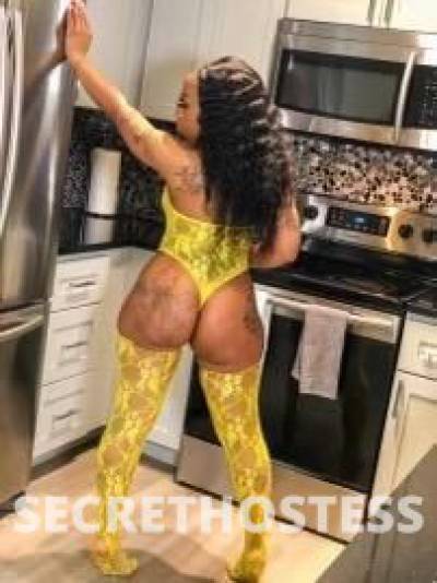 Trina 28Yrs Old Escort Richmond VA Image - 1