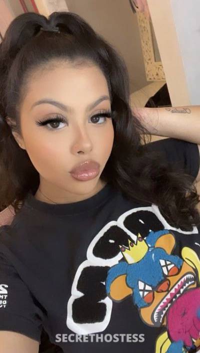 24 year old Latino Escort in Miami FL Sexy Bratzdoll