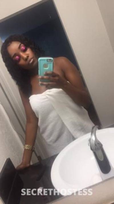 27Yrs Old Escort College Station TX Image - 3