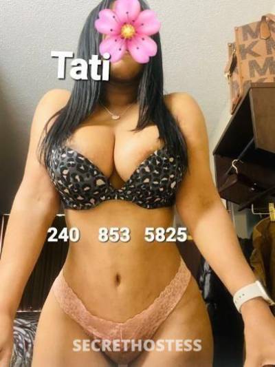 28Yrs Old Escort Raleigh NC Image - 2