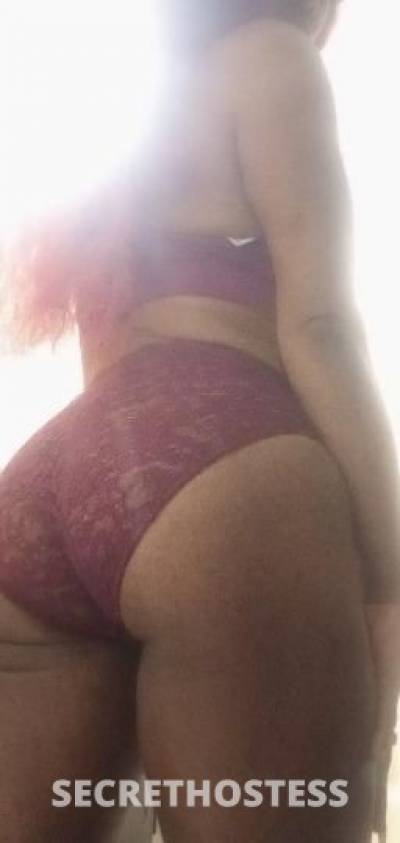 31 year old Escort in Toledo OH Ready now Call me