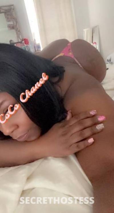 COCOCHANEL 29Yrs Old Escort Toledo OH Image - 3