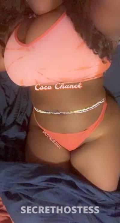 COCOCHANEL 29Yrs Old Escort Toledo OH Image - 5