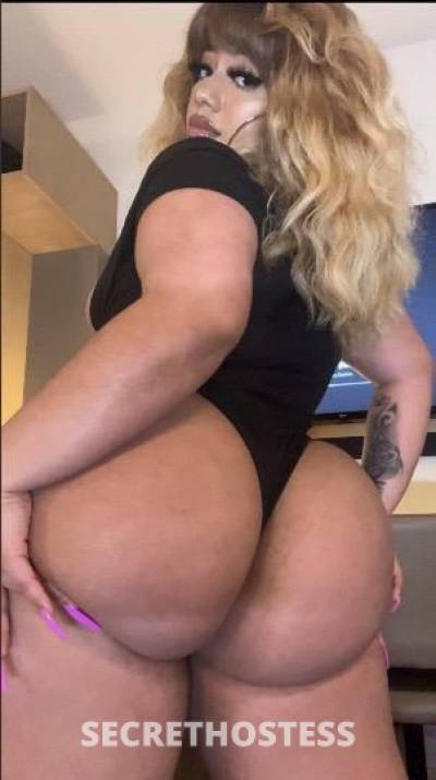 25Yrs Old Escort Dallas TX Image - 2