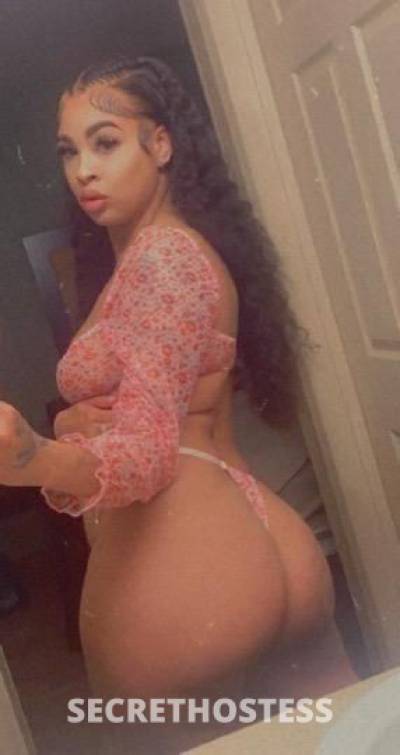 25 year old Latino Escort in Portales NM 💖Horny Queen girl 💖 Incall / Outcall 💓 Car date or 