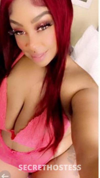 28Yrs Old Escort College Station TX Image - 0