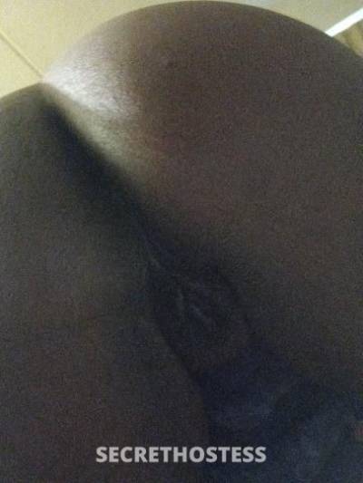 29Yrs Old Escort Space Coast FL Image - 3